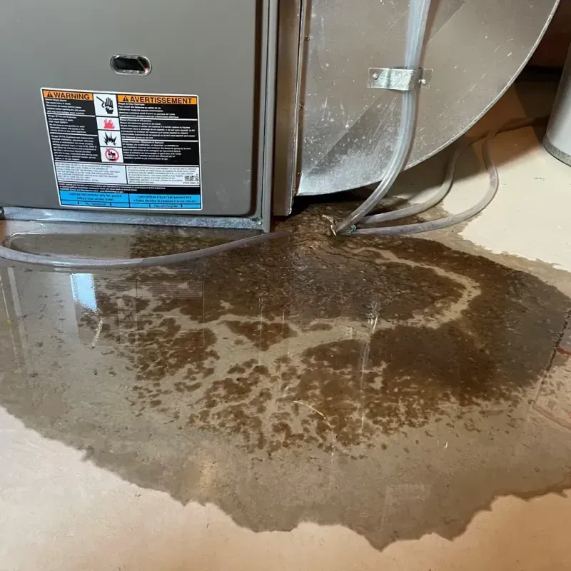 Appliance Leak Cleanup in Grafton, MA